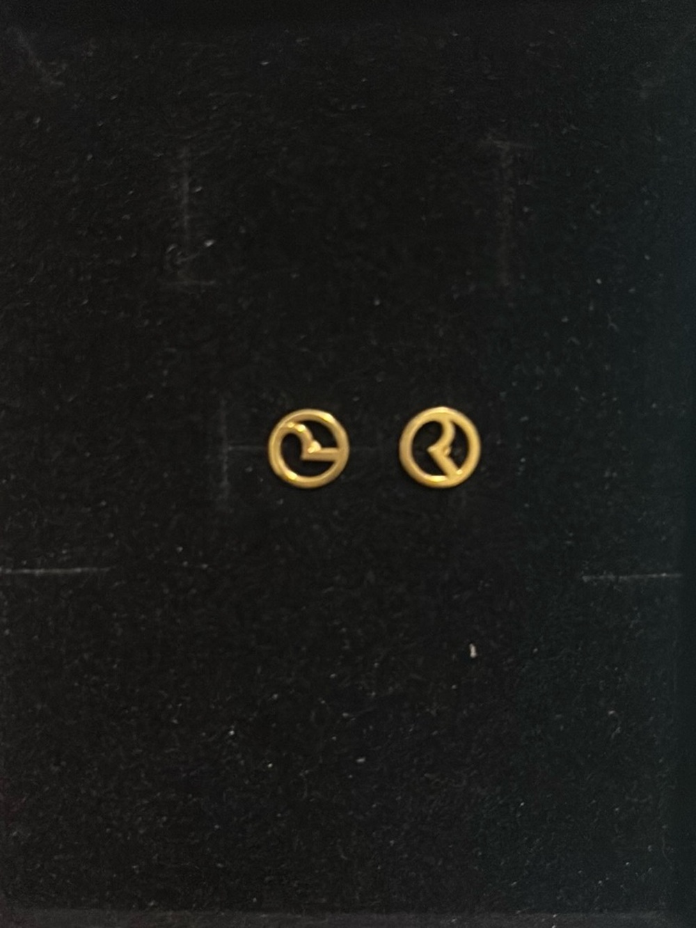 Rare Beauty PR Earrings